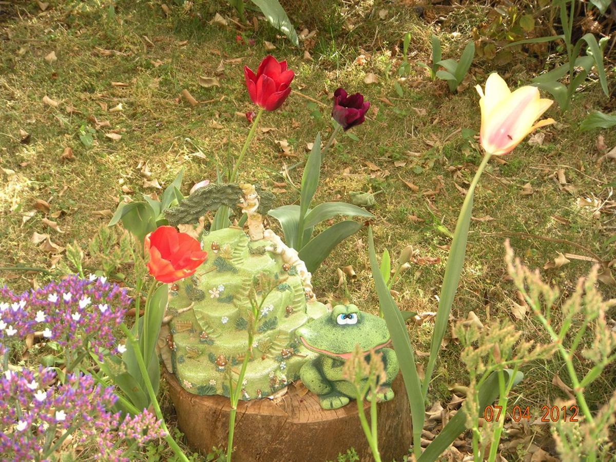 In Our Backyard - Metula Villa Exterior foto